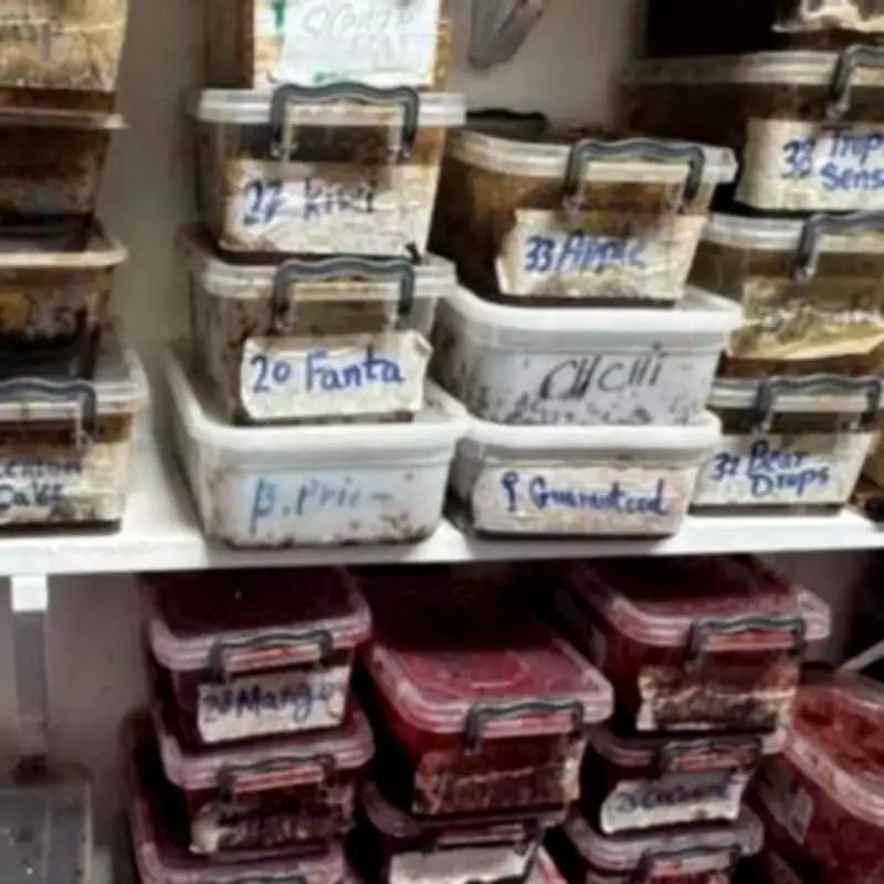 East London Council Seizes £5,000 in Illegal Vapes and Tobacco in Crackdown