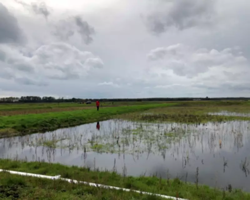 England's Land Use Framework: 7% of Land Allocated for Nature and Renewables