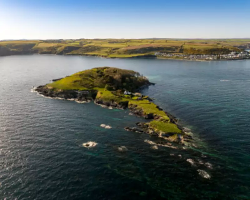Escape to Looe Island: A Secluded Nature Reserve in Cornwall
