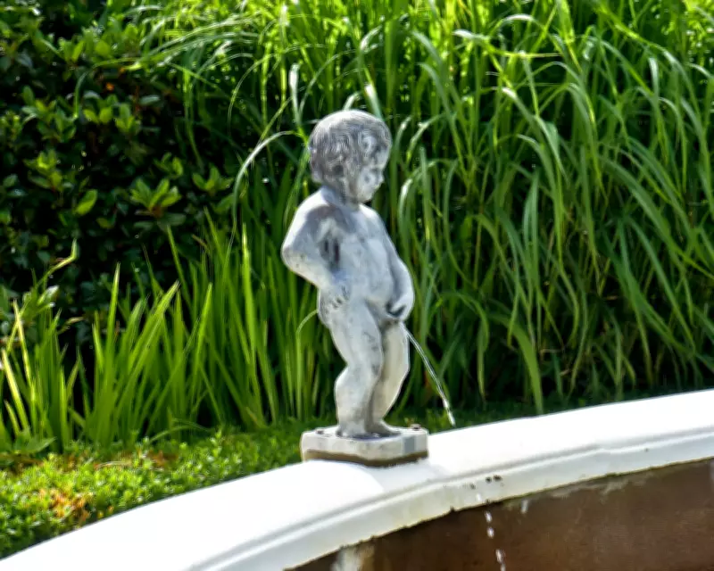 Expert Urinary Health Tips: How to Pee Correctly and Avoid Common Bladder Issues