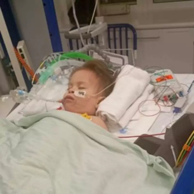 Family Stranded in UK After Toddler's Brain Injury from Strawberry Choking