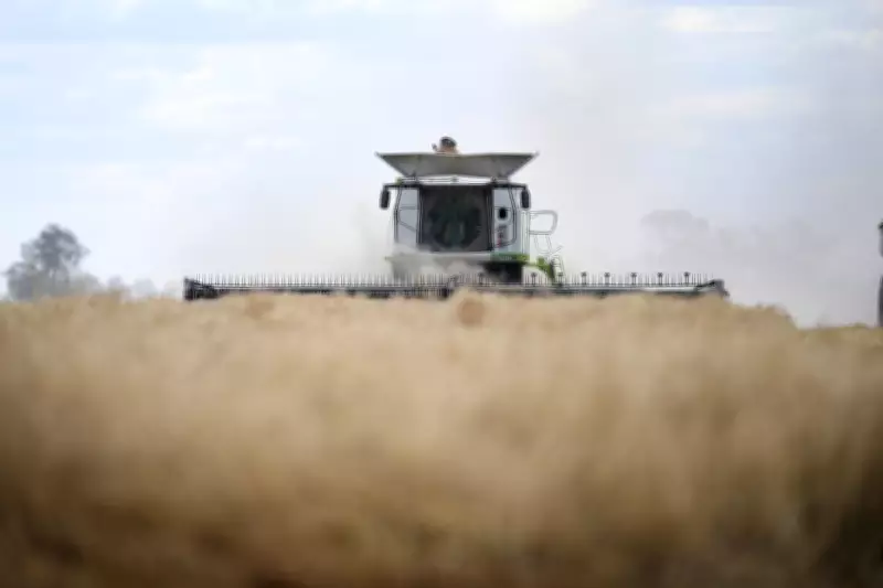 Farmers Defend Fuel Stockpiling as Regional Australia Faces Supply Crisis
