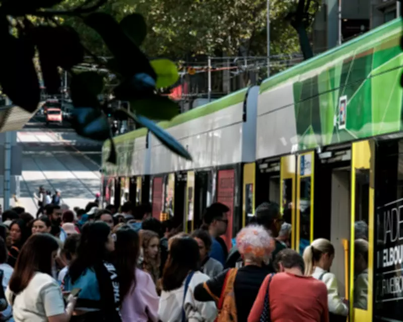 Free Public Transport Trial in Australia: A Response to Soaring Fuel Prices