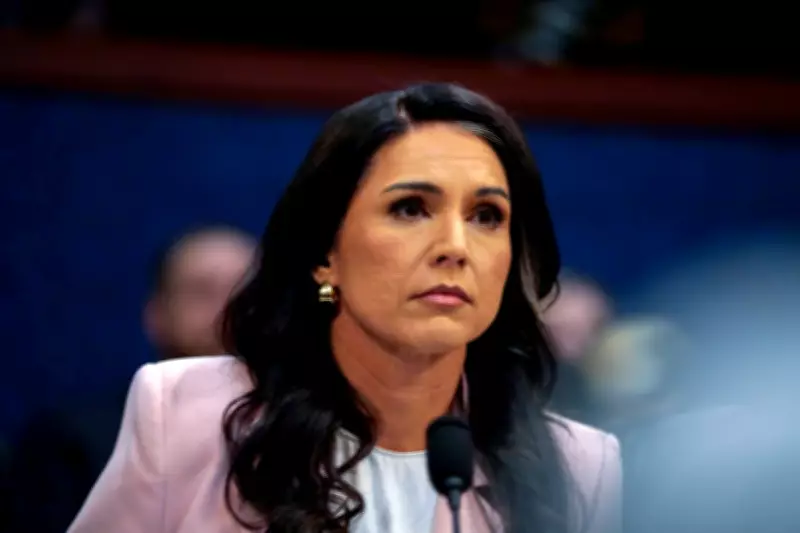 Gabbard's Puerto Rico Voting Machine Seizure Tied to Venezuela Conspiracy Theory