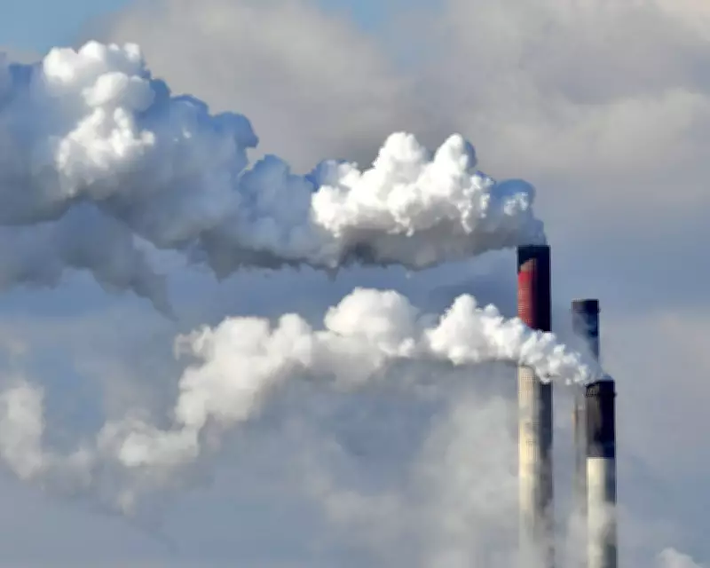 Germany's Climate Goals Falter as 2025 Emissions Drop Only 0.1%