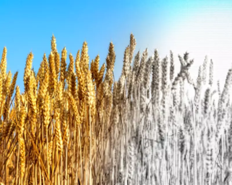 Global Food System on Brink of Collapse: Corporations Gamble with Our Survival