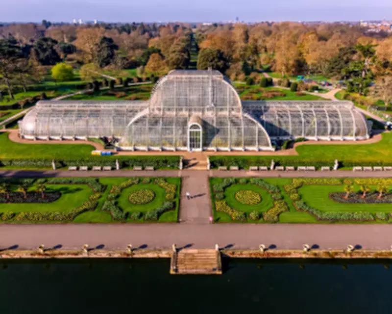 Global Photo Highlights: Paris Fashion, Kew Gardens Renovation, and Crufts Collie