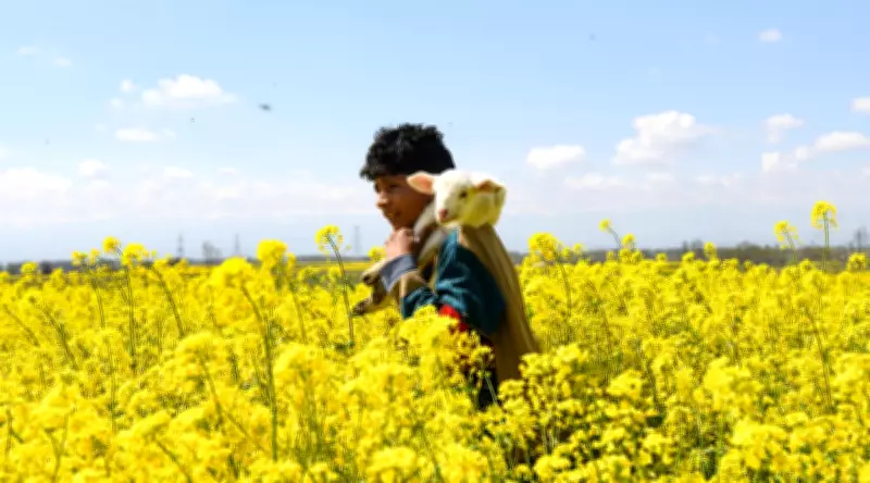 Global Tensions and Natural Beauty: A Day in Photos from Around the World