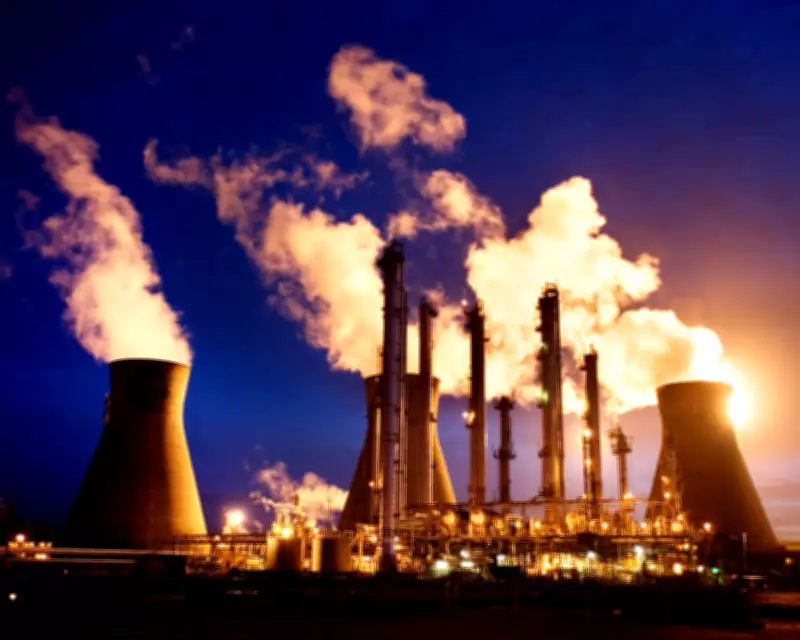 Green Thinktank Proposes 'Doge of the Left' to Save UK Taxpayers £30bn Annually