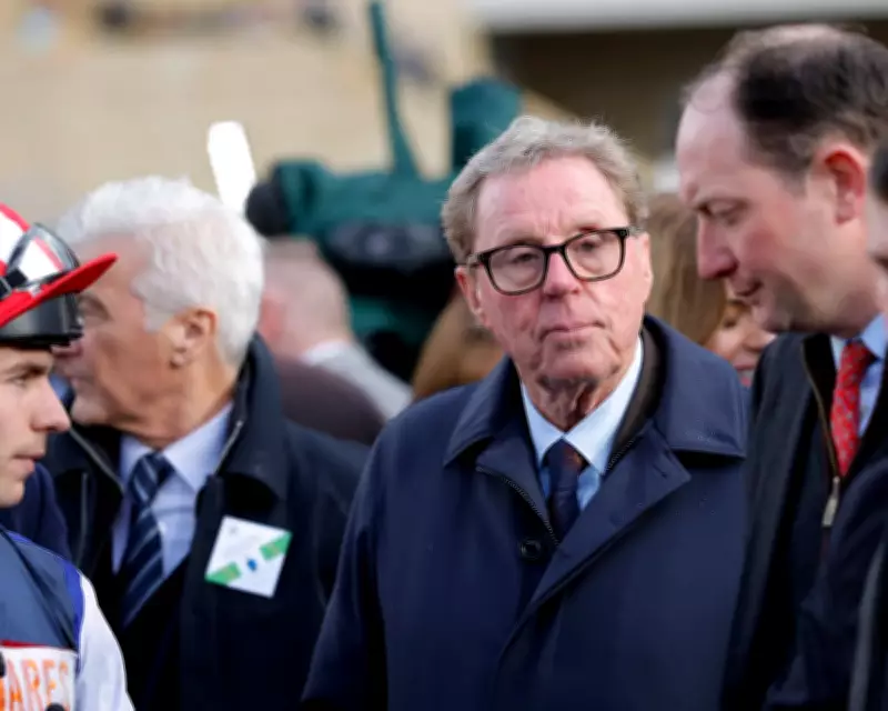 Harry Redknapp's Gold Cup Dream Fades, Spurs Rescue Mission Beckons