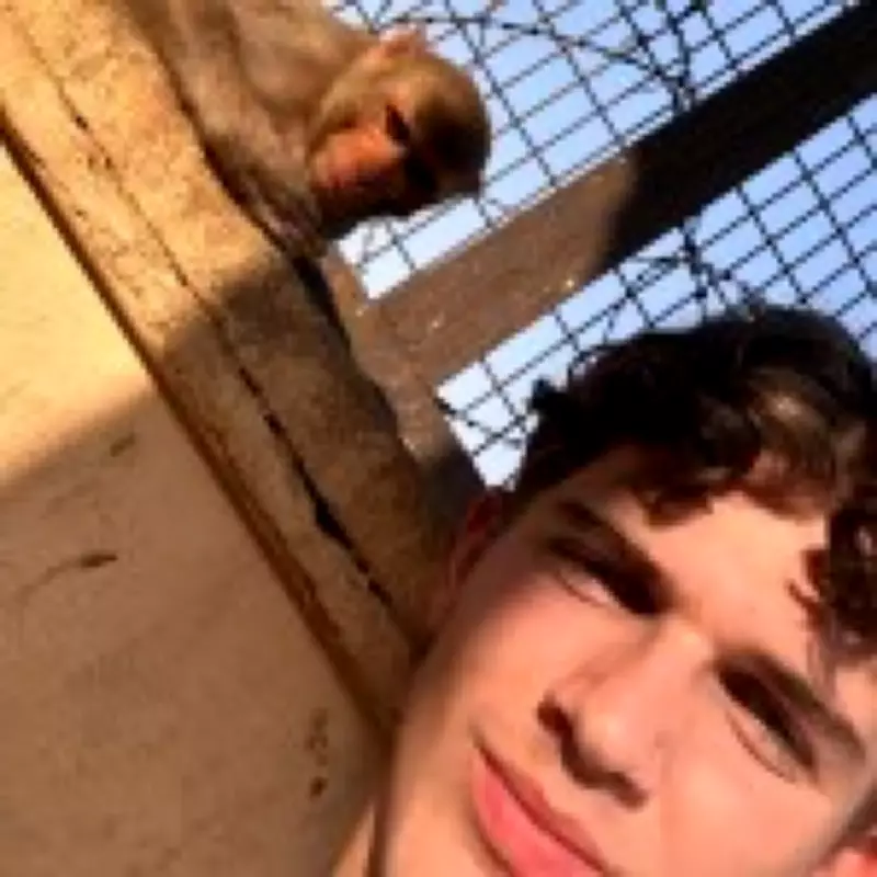 Hollyoaks Star Oscar Curtis Hospitalized After Monkey Attack in Mumbai