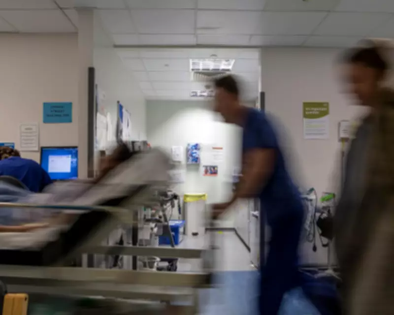 Home Office Lifts Ban, Allowing Asylum-Seeking Doctors to Work in NHS