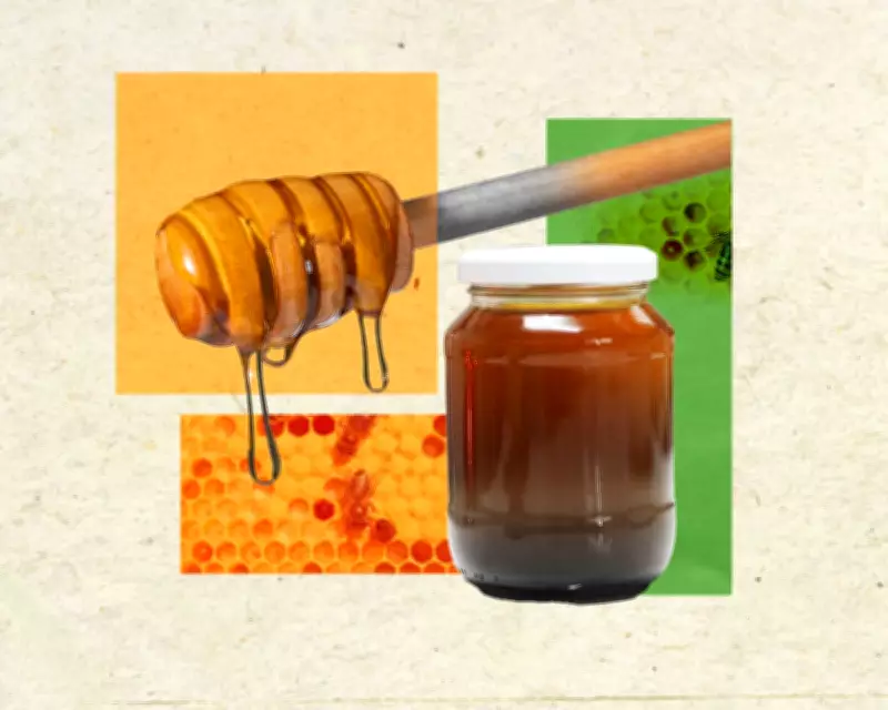Honey's Healing Properties: Separating Science from Sweet Myths