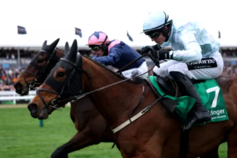 Horse Racing Must Unite Again After Tax Victory, Says Jockey Club Chief