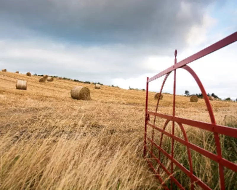 How WWII Coded Weather Forecasts Protected Britain from Enemy Intelligence