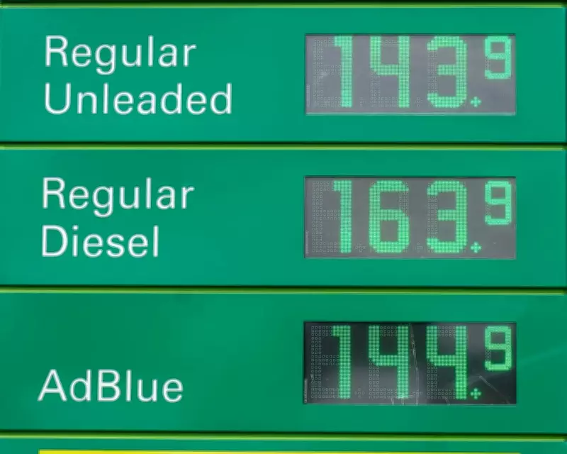 IEA's Historic Oil Reserve Release Aims to Curb Price Surge Amid Iran Conflict