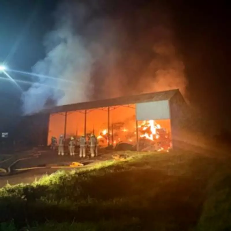 Ilford Hay Barn Engulfed in Massive Blaze, Horses Rescued by Firefighters