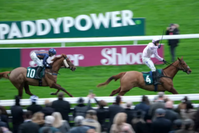 Imperial Cup Preview: Brace For Landing and Wreckless Eric Lead Betting Tips