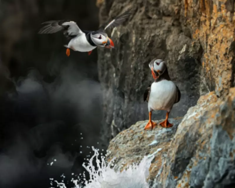 Inside Britain's National Parks Review: A Documentary That Inspires Life Changes