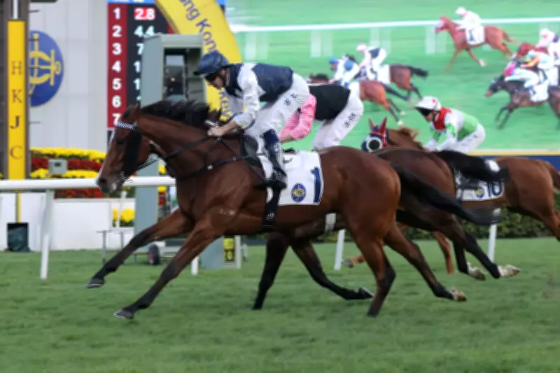 Invincible Ibis Favored to Win Hong Kong Derby Amid Draw and Form Analysis