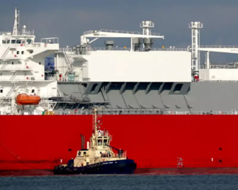 Iran War Disrupts LNG Supplies, Sparking Calls for Strategic Gas Reserve