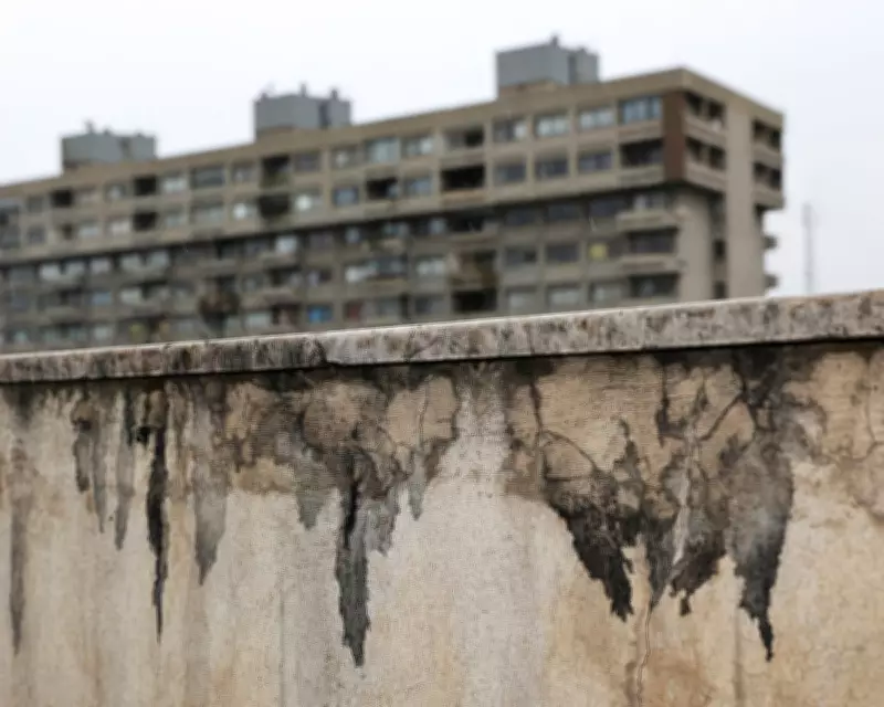 Iran's Black Rain: A Toxic Legacy of Conflict in War Zones