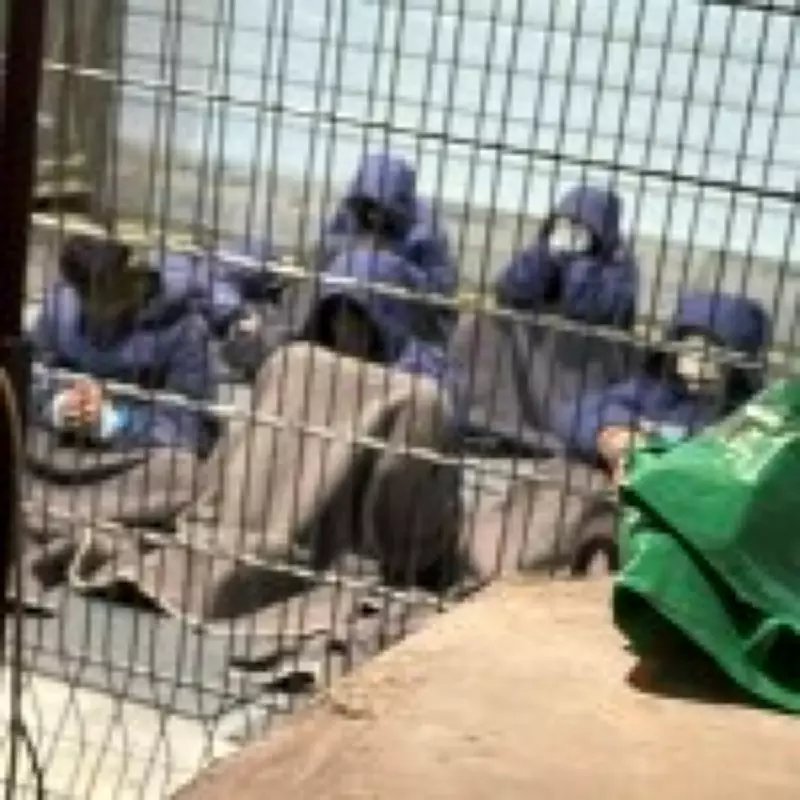 Israeli Soldiers Cleared in Sde Teiman Prison Abuse Case, Sparking Outrage