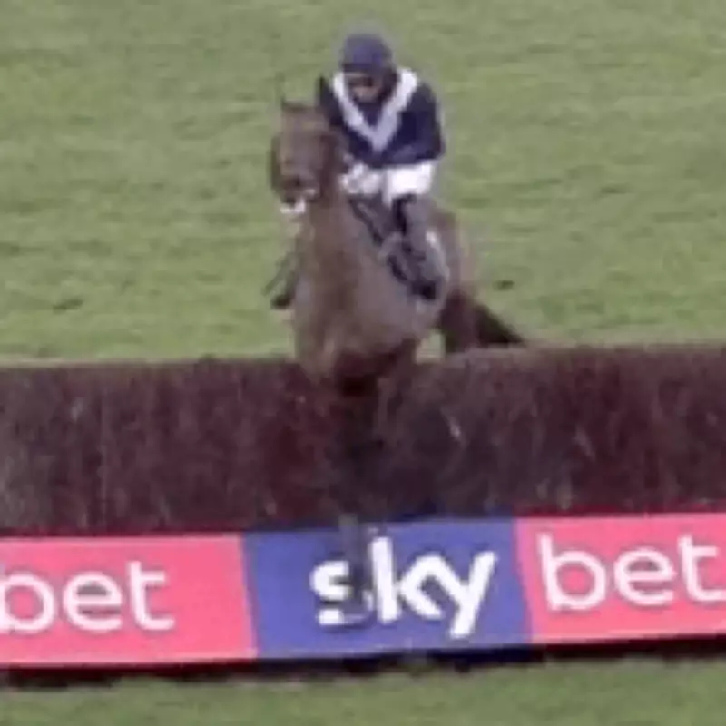 Jockey Suspended for 'Despicable' Treatment of Exhausted Horse at Fakenham