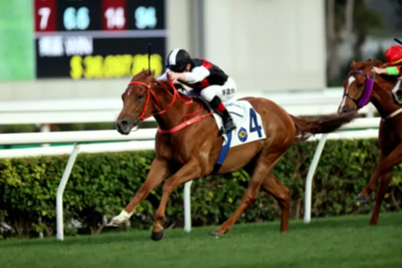 John Size's Contenders Poised for Victory at Happy Valley Races