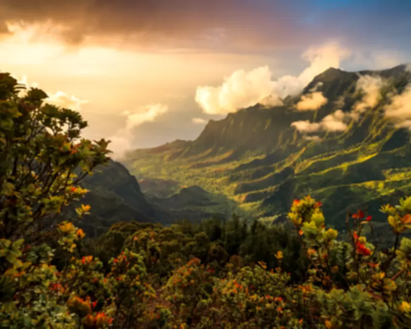 Kauai Helicopter Crash Investigation Underway After Fatal Incident