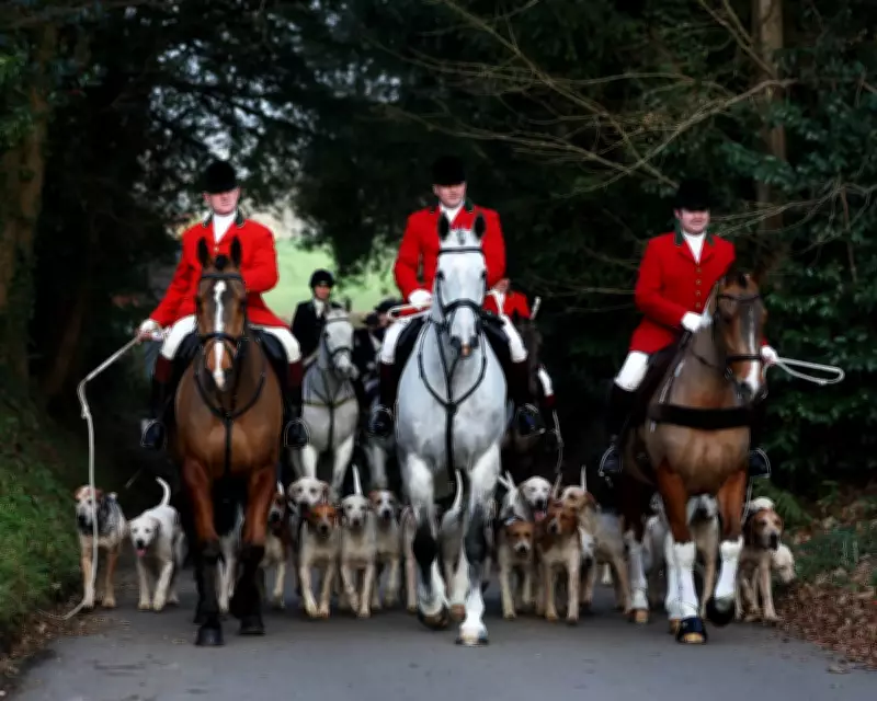Labour Government Launches Public Consultation to Ban Trail Hunting in England and Wales