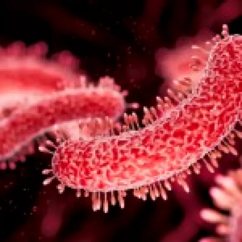 Legionnaires' Disease Outbreak Detected in Two London Areas