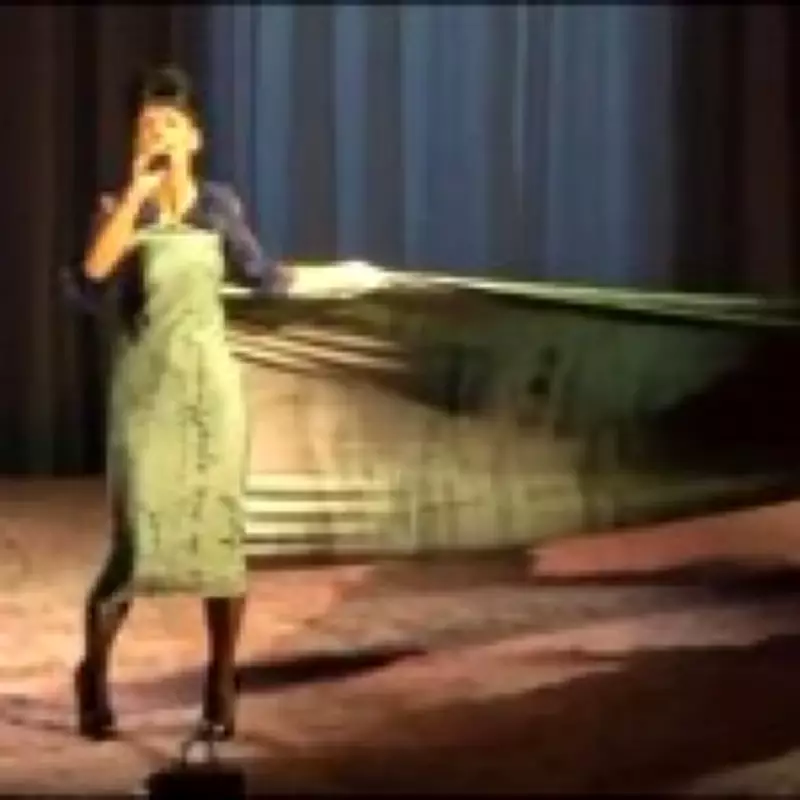 Lily Allen's Stage Revenge: Wears Dress Made of David Harbour's Receipts