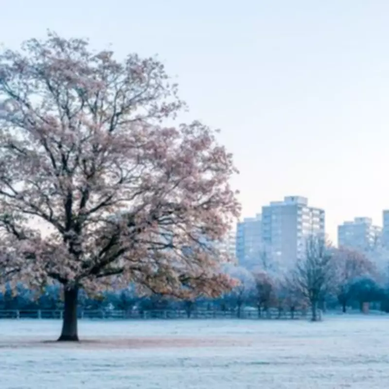 London Braces for Snow Showers as Spring Warmth Gives Way to Arctic Blast