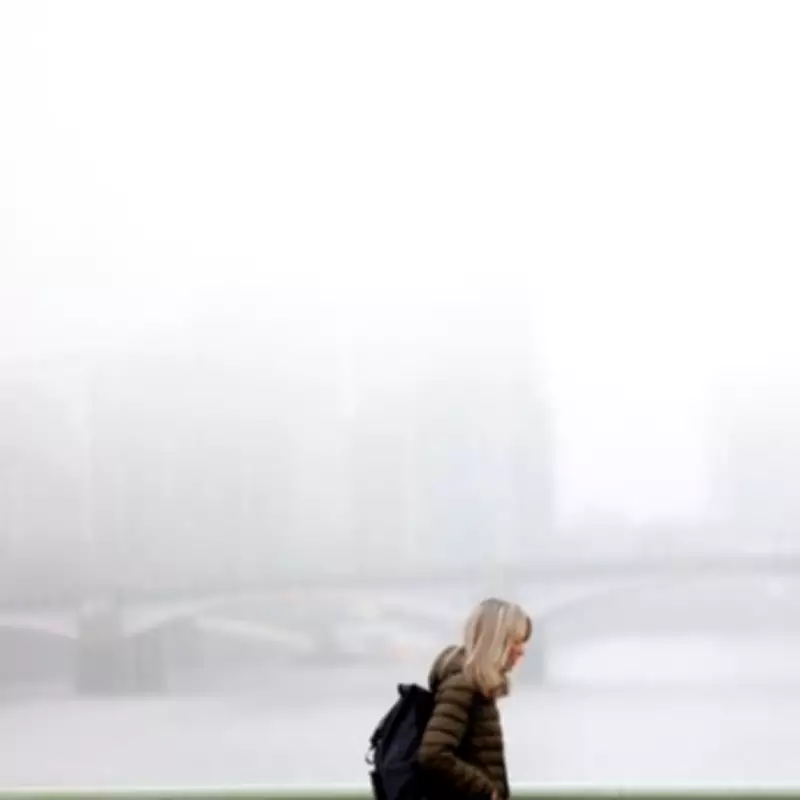 London Fog Expert Explains Persistent Misty Conditions and Forecasts Clearance