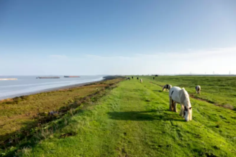 London's Coastal Path: World's Longest Trail Connects to Thames