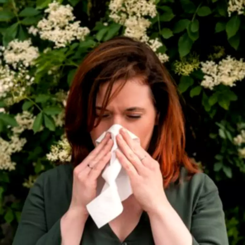 London's Early Pollen Surge: Why Hay Fever is Hitting Hard in 2026