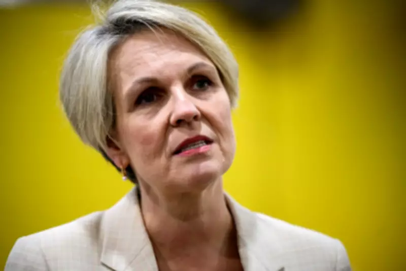 MAFS Coercive Control Scandal Sparks Plibersek's Call for Action