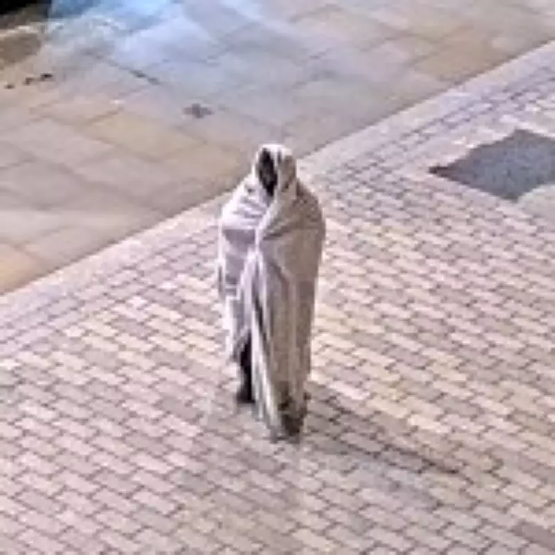 Man in Bedsheet Disguise Attacks Ex-Colleague with Metal Bar in London