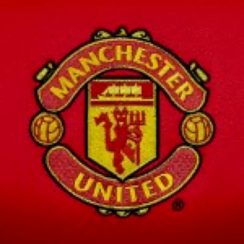 Manchester United Cleared to Sign £26m Transfer Target Julian Ryerson