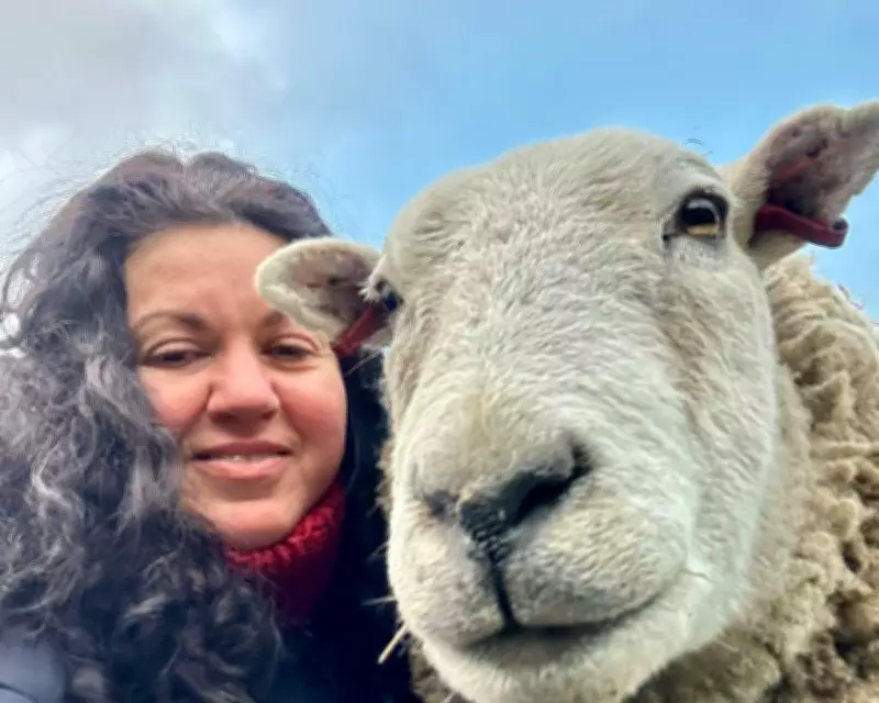 Merlin the Therapy Sheep: An Unforgettable Animal Companion's Healing Journey