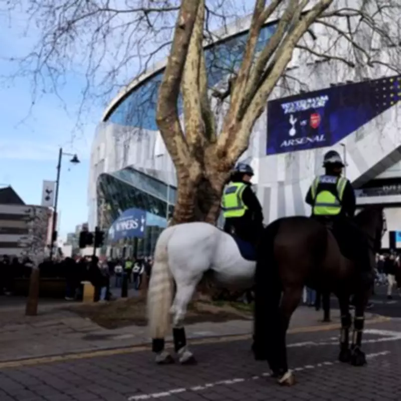 Met Police Cuts Reduce Horse Patrols at London Football Matches