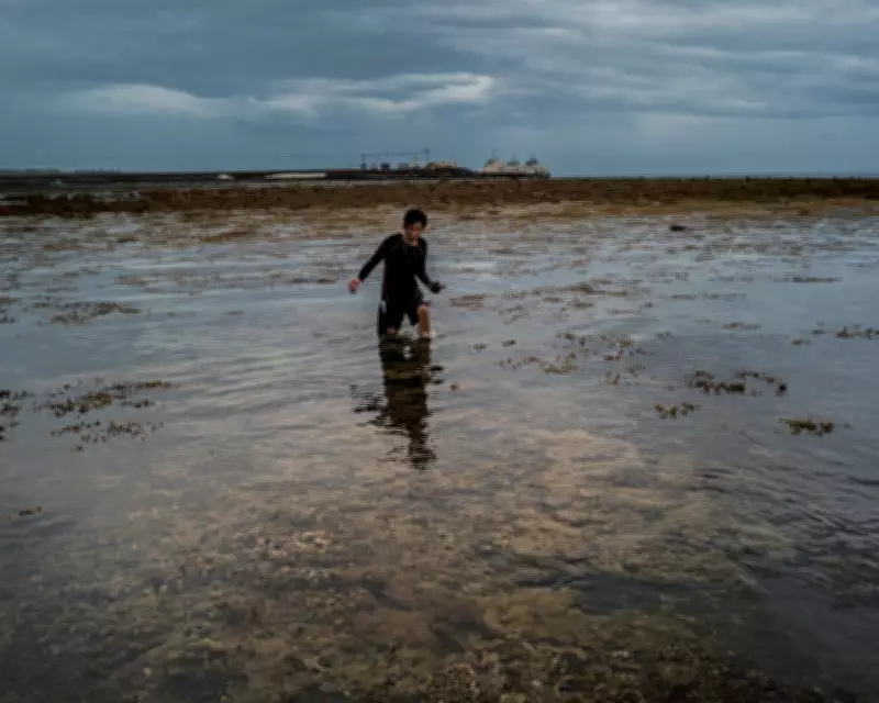 Mining for Green Energy Threatens Palawan's 'Last Ecological Frontier'