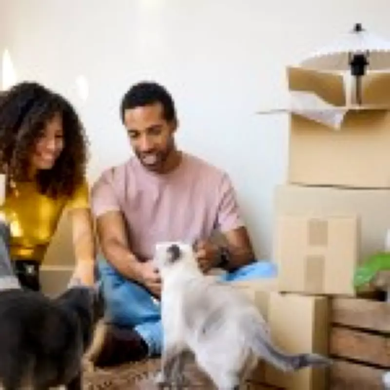 Mortgage Expert Reveals Hidden Costs of Homeownership Beyond the Deposit