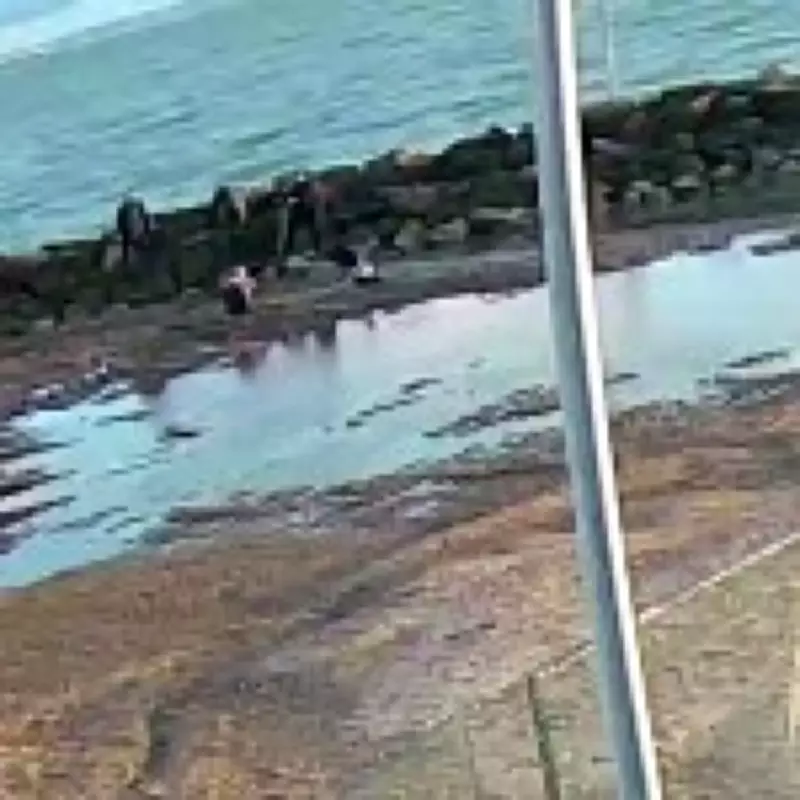 Mother and Daughter Rescued from Quicksand on Essex Beach