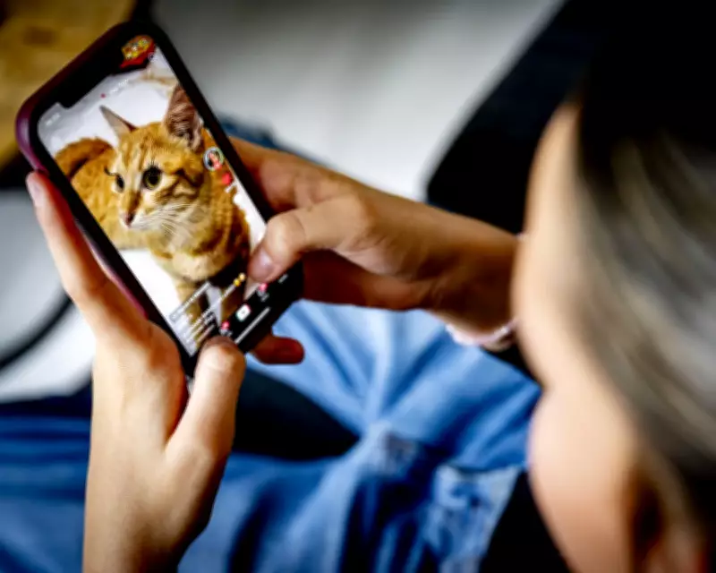 MPs Reject Under-16 Social Media Ban, But Grant New Powers to Secretary of State