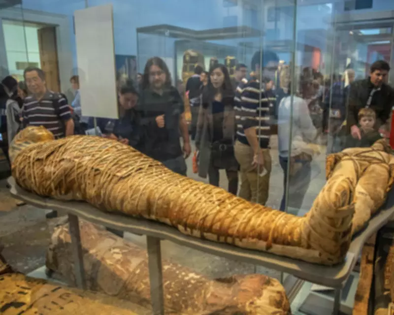 Museum Experts Call for Ethical Care and Government Funding for Human Remains