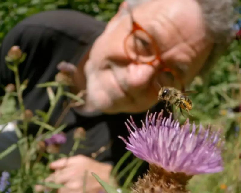 My Garden of a Thousand Bees: A Life-Changing Documentary on Urban Insects