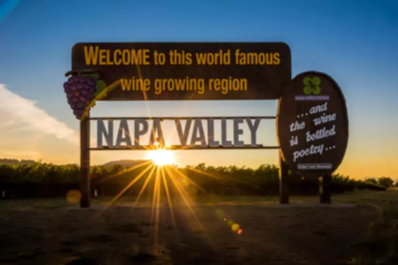 Napa Valley Wineries Navigate 'Shocking' Downturn with Innovation and Adaptation