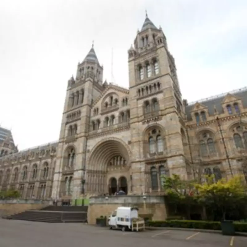 Natural History Museum Breaks UK Record as Top Tourist Attraction in 2025